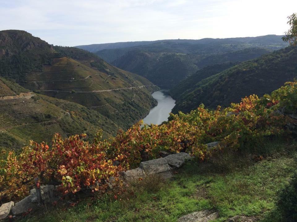 Acogedor Apartamento Ribeira Sacra Monforte De Lemos Dış mekan fotoğraf